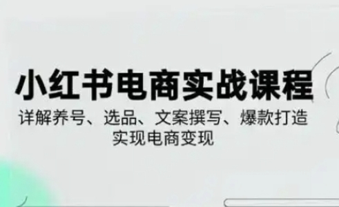 小红书从0-1实操课(2023-2025)，详解养号、选品、文案撰写、爆款打造实现电商变现-鸿盛达人