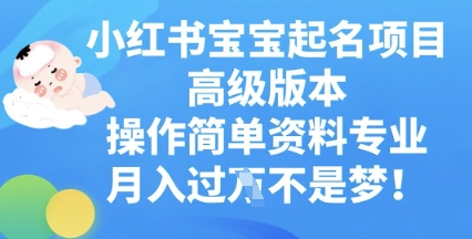 小红书宝宝起名项目高级版本，操作简单，资料专业，月入过W-鸿盛达人