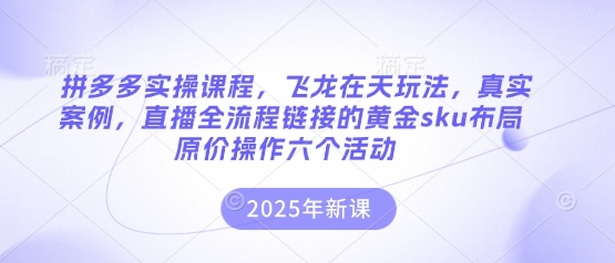 拼多多实操课程，飞龙在天玩法，真实案例，直播全流程链接的黄金sku布局原价操作六个活动-鸿盛达人