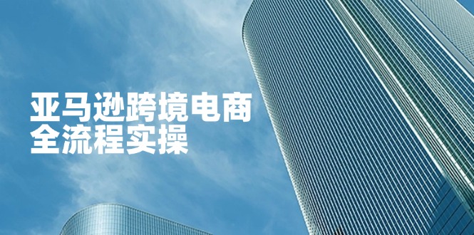 （14252期）亚马逊跨境电商全流程实操，教你从零开始，掌握店铺运营与广告技巧-鸿盛达人
