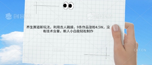 AI养生赛道新玩法，10条作品涨粉5.2W，操作简单，新人小白能轻松制作-鸿盛达人