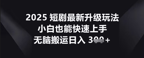 2025短剧最新升级玩法，小白也能快速上手，无脑搬运日入3张-鸿盛达人