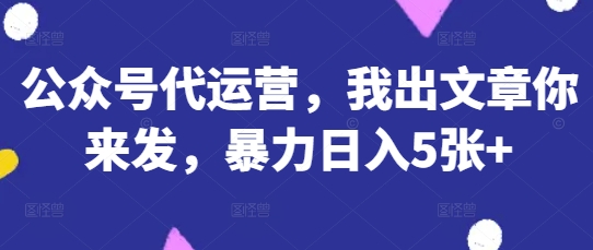 公众号代运营，我出文章你来发，暴力日入5张+【揭秘】-鸿盛达人