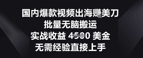 国内爆款视频出海挣美刀，批量无脑搬运，实战收益4.5k，无需经验直接上手-鸿盛达人