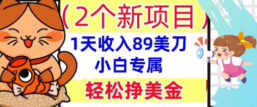 2个新项目，轻松挣美金， 1天收入89美刀，小白专属，干货分享-鸿盛达人