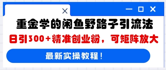 重金学的闲鱼野路子引流法，日引300+精准创业粉，可矩阵放大-鸿盛达人