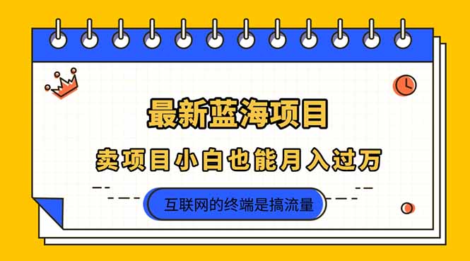 （14289期）2025年最新蓝海项目，卖项目小白也能月入过万-鸿盛达人