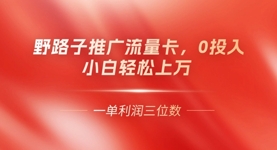 0门槛推广流量卡，一单收益上百，0投入，小白月入过W-鸿盛达人