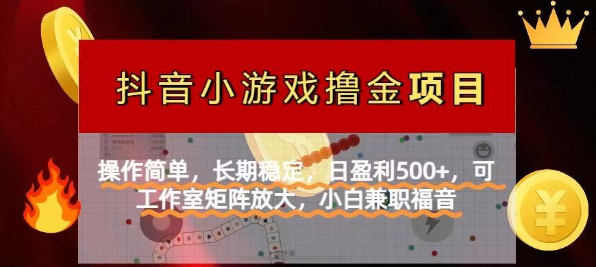 （14290期）【抖音小游戏发行人计划项目】操作简单，长期稳定，日盈利500+，可工作…-鸿盛达人
