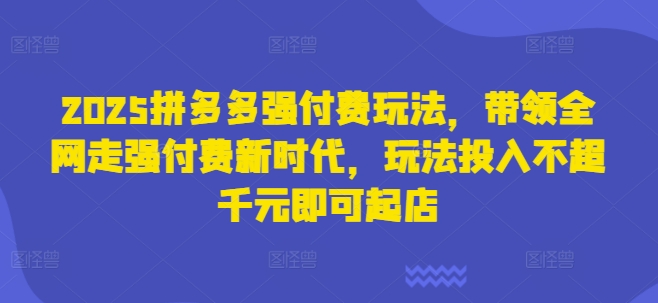 2025拼多多强付费玩法，带领全网走强付费新时代，玩法投入不超千元即可起店-鸿盛达人