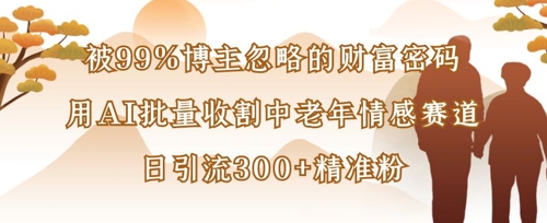 被99%博主忽略的财富密码：用AI批量收割中老年情感赛道，日引流300+精准粉-鸿盛达人