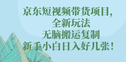 京东短视频带货项目，全新玩法，无脑搬运复制，新手小白日入好几张!-鸿盛达人