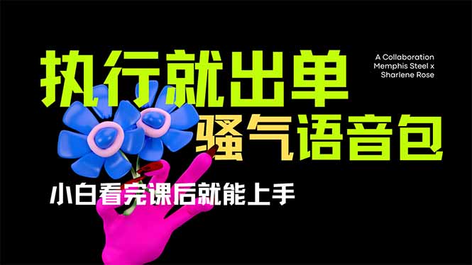 （14170期）爆火全网的开车导航骚气语音包,只要执行就出单，小白看完课程就能实操…-鸿盛达人