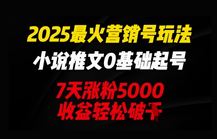 2025最火营销号玩法：小说推文0基础起号，7天涨粉5000，收益轻松破k-鸿盛达人