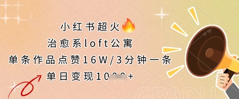 小红书超火的治愈系loft公寓，单条作品点赞16W，3分钟一条，单日变现数张-鸿盛达人