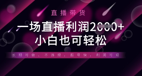 半无人直播带货，一场利润数张，适合所有平台玩法，小白也可轻松-鸿盛达人