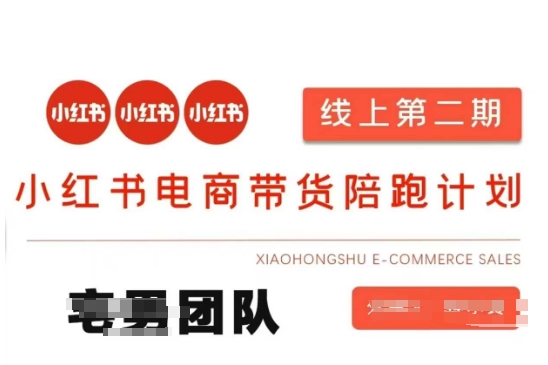 小红书电商带货课2期，月利润20个的小红书电商的有货源，无货源，虚拟产品，付费投流等整套玩法-鸿盛达人