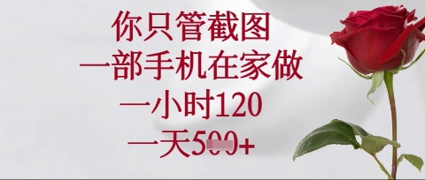 你只管截图，一部手机在家操作，一小时120.一天5张【揭秘】-鸿盛达人