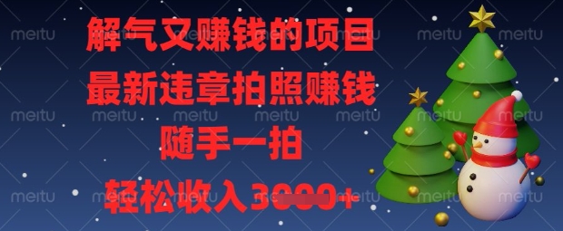解气又挣钱的项目，最新违章拍照挣钱，随手一拍，轻松收入数张【揭秘】-鸿盛达人